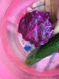 凉拌紫甘蓝黄瓜的做法步骤2